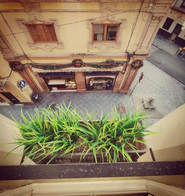 Estudio Centro De Sevilla المظهر الخارجي الصورة